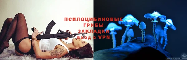 дурь Вязьма