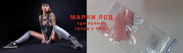 гидра Вязники