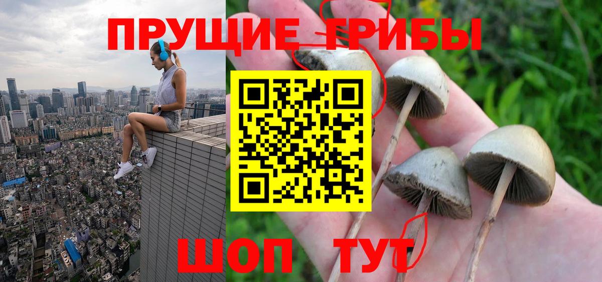 Кингисепп  наркота  Вход с VPN  Галлюциногенные грибы мухоморы 